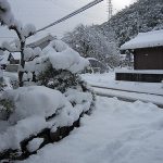 豪雪！
