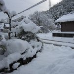 豪雪！