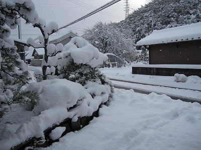 豪雪！