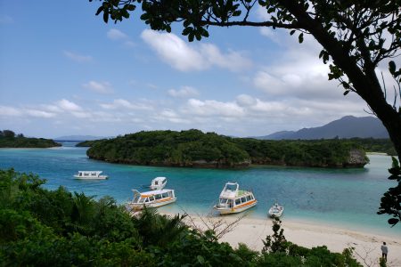 石垣島へ行ってました