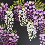 藤の花とニセアカシア