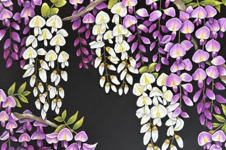 藤の花とニセアカシア