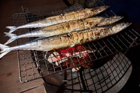 今年のサンマ
