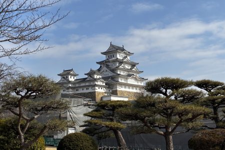 今年も新年会を開催！