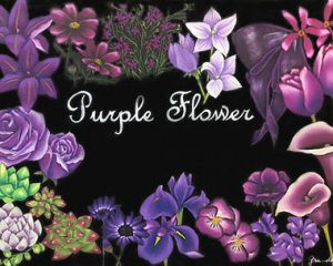 Purple flower：紫の花を集めました